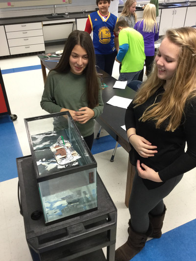 STEM Challenges - Photo Number 3